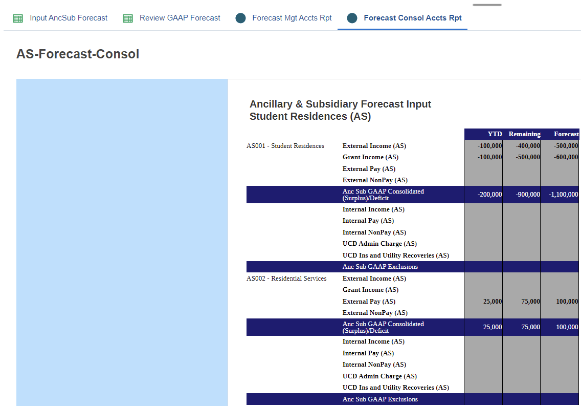Ancillary and Subsidiary Consolidated GAAP Forecast Report